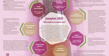 Infographic Jaarplan 2021.